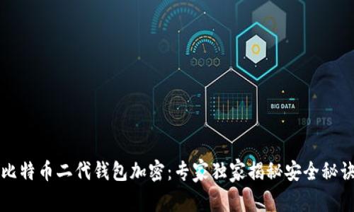 比特币二代钱包加密:专家独家揭秘安全秘诀