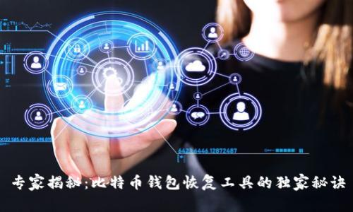 专家揭秘:比特币钱包恢复工具的独家秘诀
