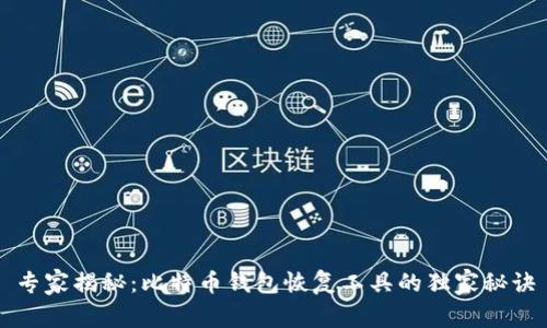 专家揭秘:比特币钱包恢复工具的独家秘诀