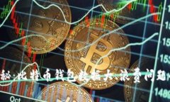 专家独家揭秘：比特币钱包数据大、浪费问题的