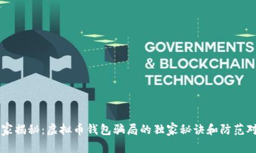 专家揭秘:虚拟币钱包骗局的独家秘诀和防范对策