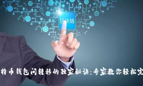 比特币钱包间转移的独家秘诀:专家教你轻松完成