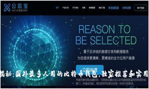 专家揭秘：国外最多人用的比特币钱包，独家推荐和实用秘诀！
