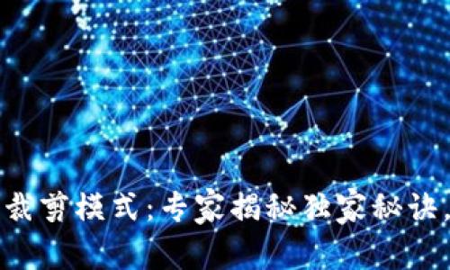 比特币钱包裁剪模式：专家揭秘独家秘诀，安全又高效