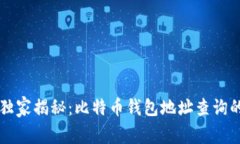 专家独家揭秘：比特币钱包地址查询的秘诀