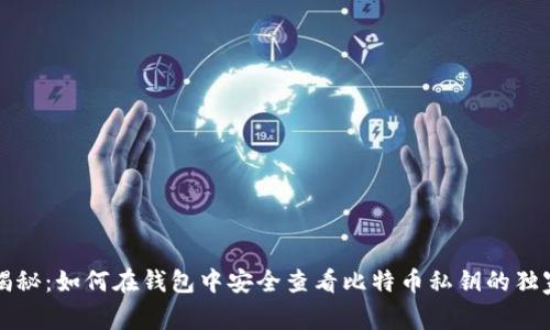 专家揭秘:如何在钱包中安全查看比特币私钥的独家秘诀