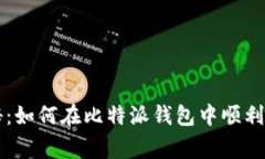 专家独家揭秘:如何在比特派钱包中顺利接收币