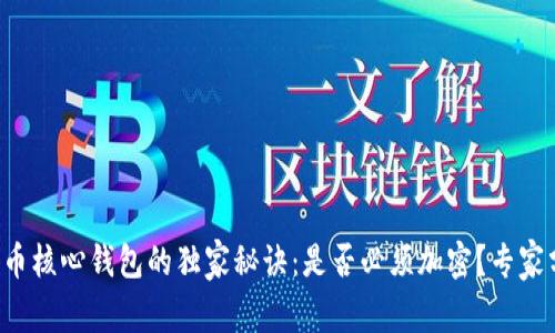 比特币核心钱包的独家秘诀:是否必须加密?专家分析!