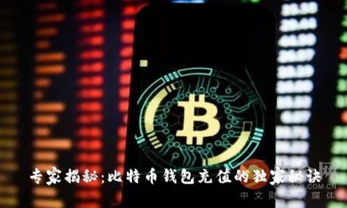 专家揭秘：比特币钱包充值的独家秘诀