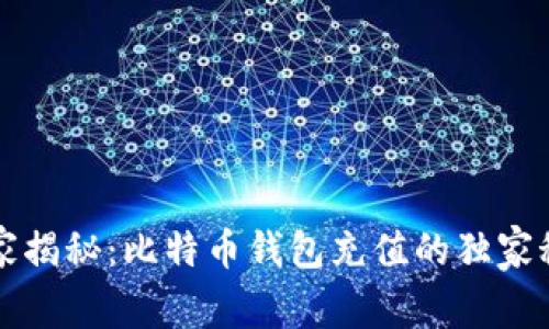 专家揭秘：比特币钱包充值的独家秘诀