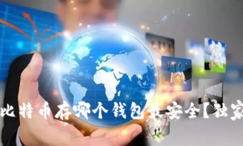 专家告诉你：比特币存哪个钱包最安全？独家秘诀大揭秘！