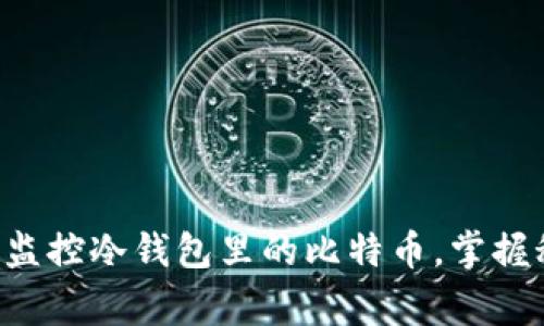专家教你如何独家监控冷钱包里的比特币,掌握秘诀,保障资产安全