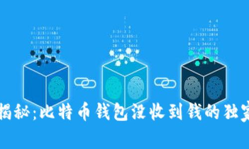 专家揭秘:比特币钱包没收到钱的独家秘诀