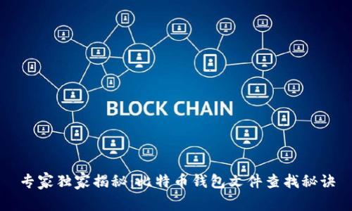 专家独家揭秘:比特币钱包文件查找秘诀