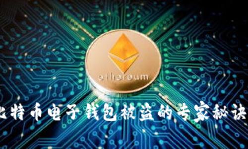独家揭秘:比特币电子钱包被盗的专家秘诀与防范措施