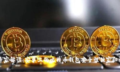 专家解读:安卓上的比特币钱包安全性独家秘诀