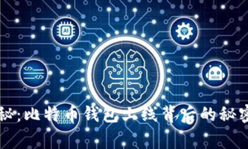 华为独家揭秘:比特币钱包上线背后的秘密与专家分析