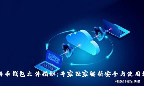 比特币钱包文件揭秘:专家独家解析安全与使用秘诀