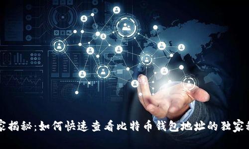 专家揭秘:如何快速查看比特币钱包地址的独家秘诀
