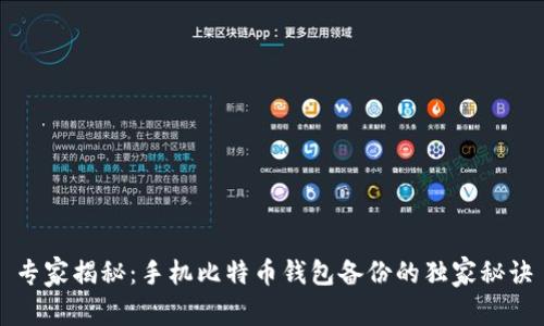 专家揭秘：手机比特币钱包备份的独家秘诀