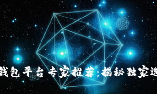 比特币钱包平台专家推荐：揭秘独家选择秘诀