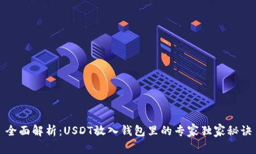 全面解析:USDT放入钱包里的专家独家秘诀