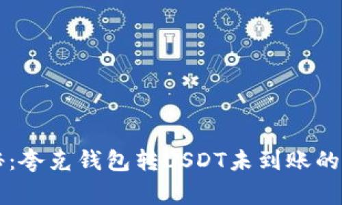 专家揭秘:夸克钱包转USDT未到账的独家秘诀