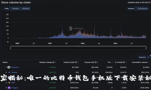 专家揭秘：唯一的比特币钱包手机版下载安装秘诀