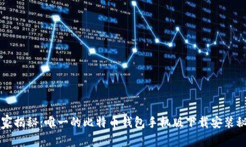 专家揭秘：唯一的比特币钱包手机版下载安装秘诀