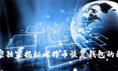 专家独家揭秘比特币恢复钱包的秘诀