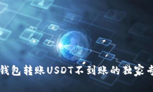 比特派钱包转账USDT不到账的独家专家秘诀