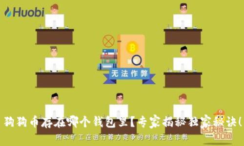 狗狗币存在哪个钱包里？专家揭秘独家秘诀！