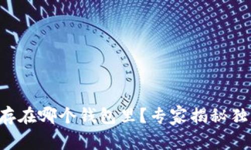狗狗币存在哪个钱包里？专家揭秘独家秘诀！