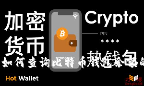 专家揭秘：如何查询比特币钱包余额的独家秘诀