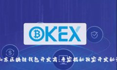山东区块链钱包开发商:专家揭秘独家开发秘诀