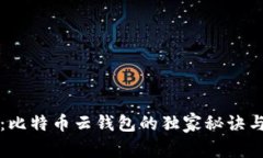 专家揭秘:比特币云钱包的独家秘诀与安全防护