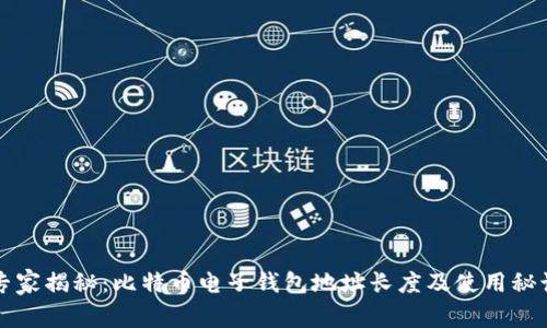 专家揭秘：比特币电子钱包地址长度及使用秘诀