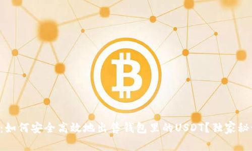 专家揭秘:如何安全高效地出售钱包里的USDT?独家秘诀大公开!