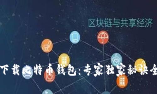 如何下载比特币钱包:专家独家秘诀全解析