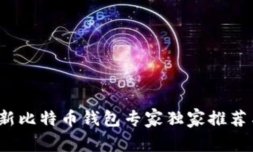 2023年最新比特币钱包专家独家推荐与使用秘诀