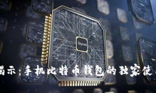 专家揭示：手机比特币钱包的独家使用秘诀