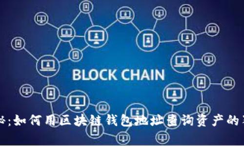 专家揭秘:如何用区块链钱包地址查询资产的独家秘诀