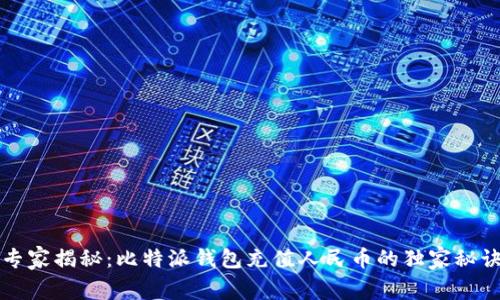 专家揭秘:比特派钱包充值人民币的独家秘诀