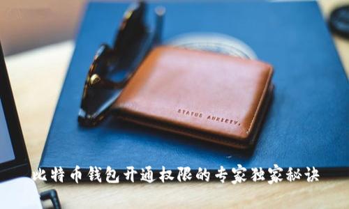 比特币钱包开通权限的专家独家秘诀