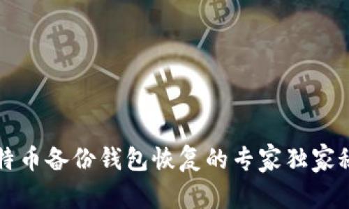 比特币备份钱包恢复的专家独家秘诀