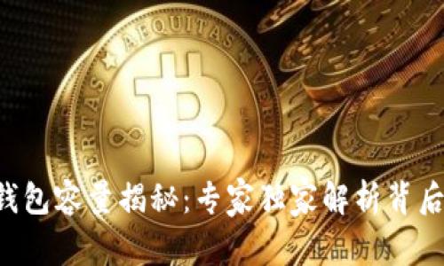 比特币钱包容量揭秘:专家独家解析背后的秘密!