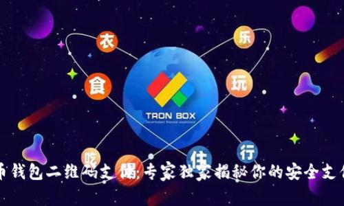 比特币钱包二维码支付：专家独家揭秘你的安全支付秘诀