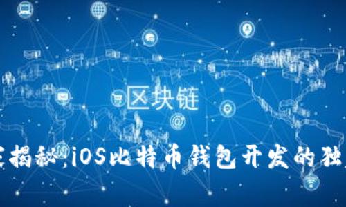 bh专家揭秘:iOS比特币钱包开发的独家秘诀