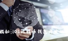 bh专家揭秘：iOS比特币钱包开发的独家秘诀