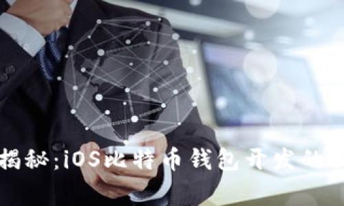 bh专家揭秘:iOS比特币钱包开发的独家秘诀
